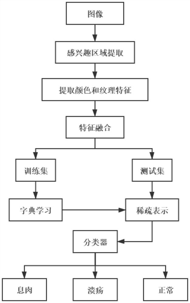 Gastrointestinal endoscope image anomaly detection method based on local feature and class label embedding constraint dictionary learning