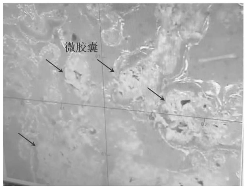 Microcapsule type self-repairing sintered epoxy coating and preparation method thereof