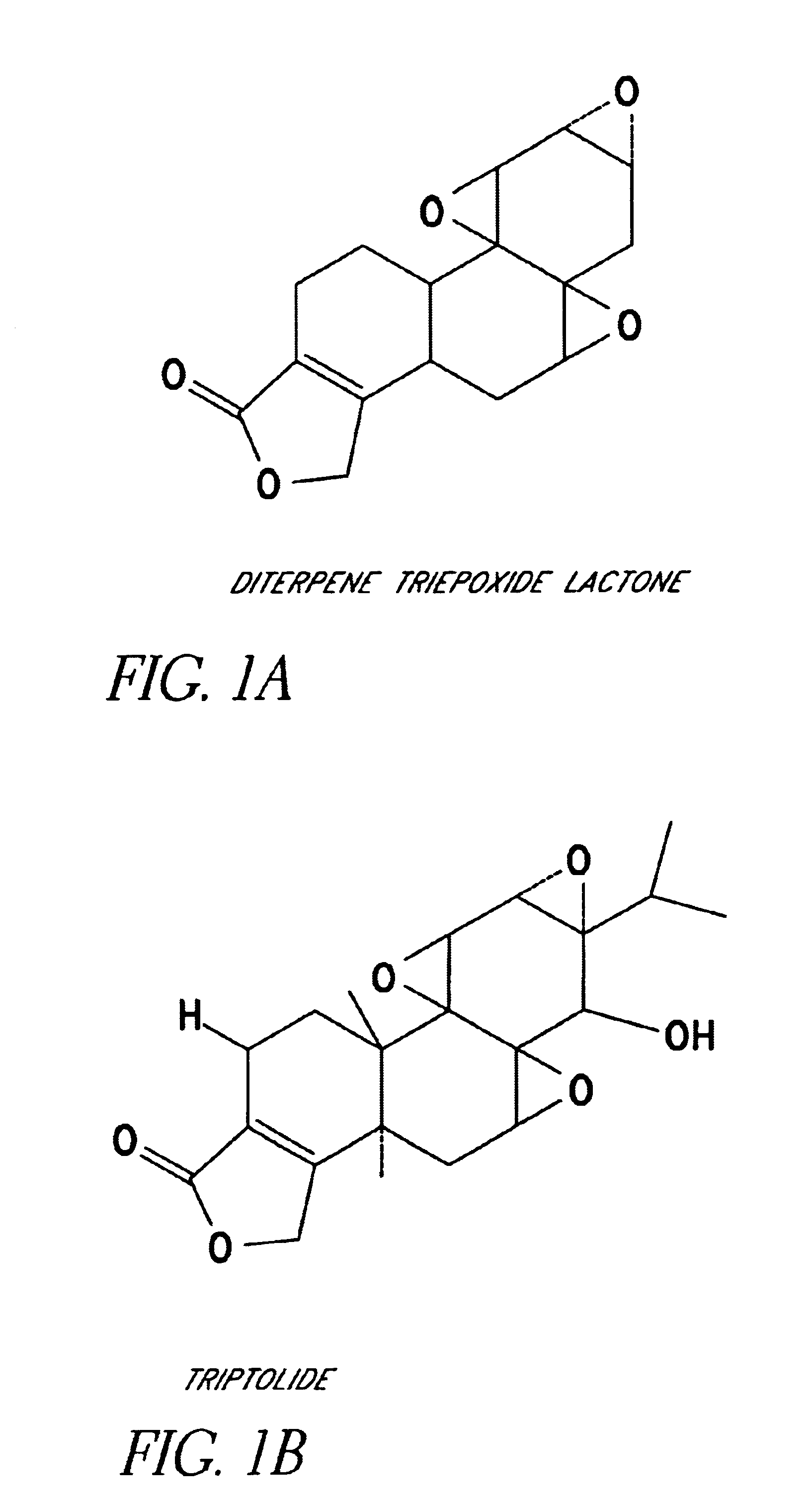 Combinations of sesquiterpene lactones and ditepene triepoxide lactones for synergistic inhibition of cyclooxygenase-2