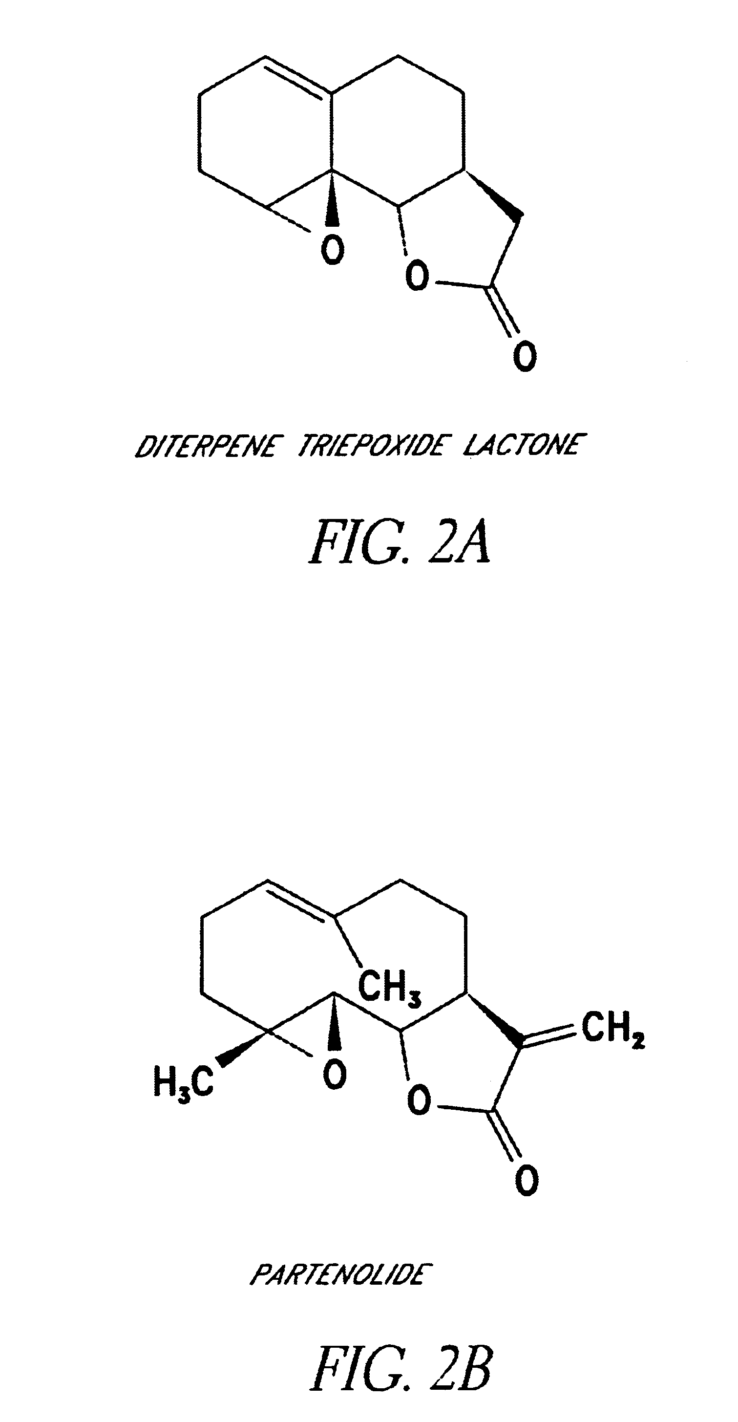 Combinations of sesquiterpene lactones and ditepene triepoxide lactones for synergistic inhibition of cyclooxygenase-2