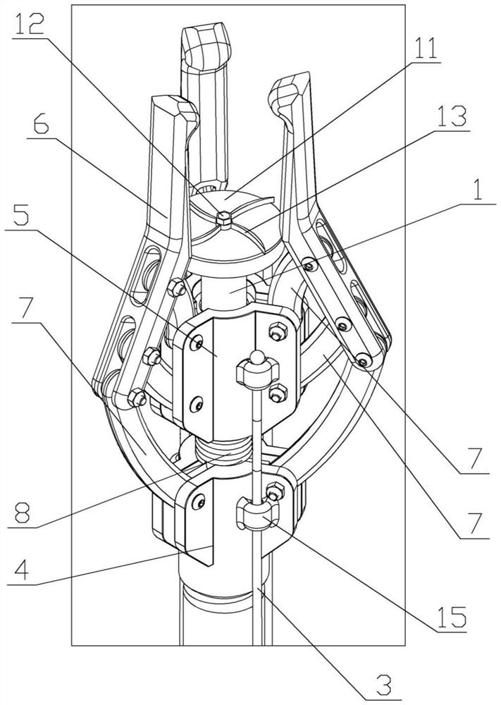 Ampelopsis grossedentata leaf picking device