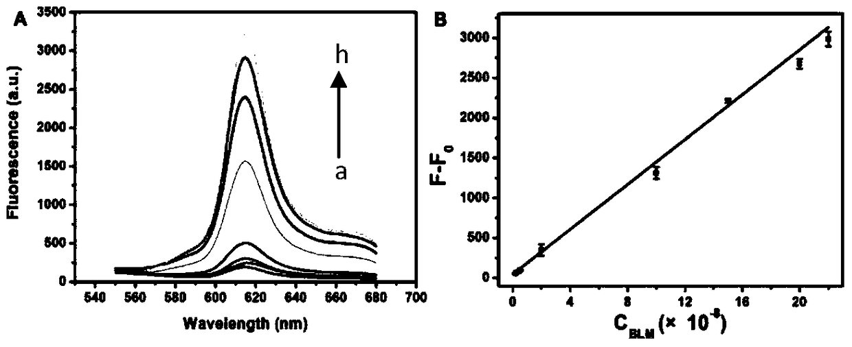 Double-loop hairpin probe-mediated label-free strand displacement amplification method for detection of bleomycin