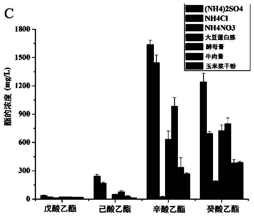 Aspergillus niger culture method and application thereof in catalytic synthesis of white spirit flavor ester