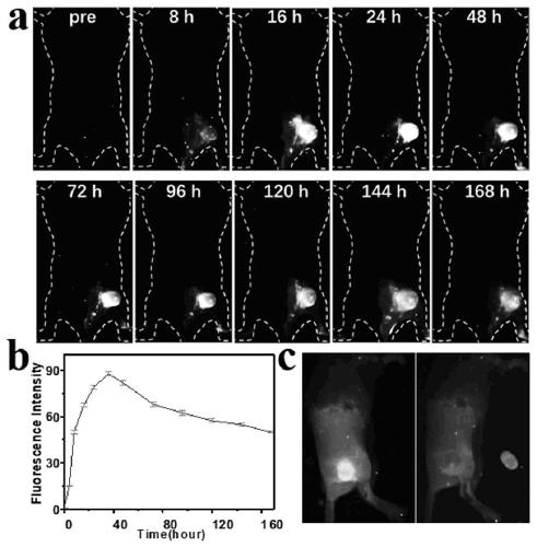 High-stability near-infrared-II nano fluorescent probe as well as preparation method and application thereof