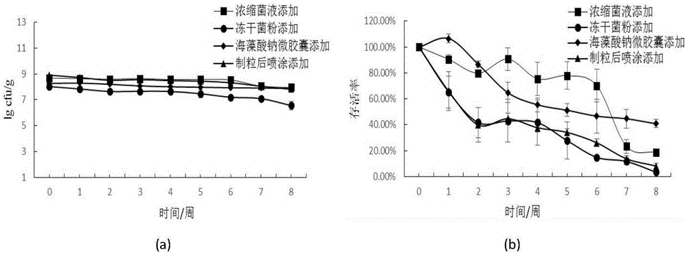 Plant lactobacillus feed capable of relieving tilapia lead toxicity