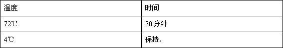 3'-5' excision enzyme activity measurement method