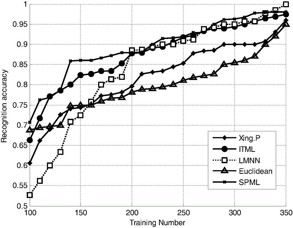 Sparse maintenance distance measurement-based human face identification method