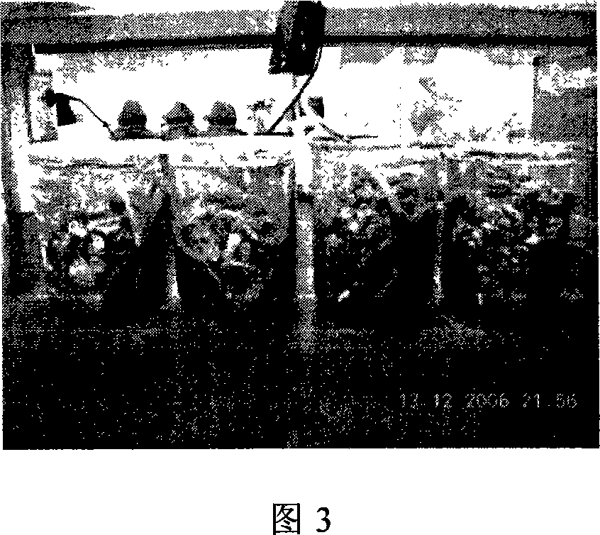 Method for treating wastewater by technique of sludge decrement type biomembrane piled ball packing