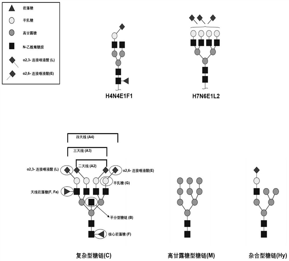 Markers and their applications for the diagnosis, stratification and prognosis of thyroid cancer