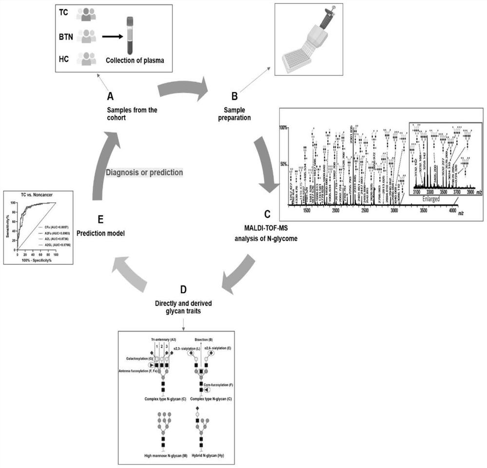 Markers and their applications for the diagnosis, stratification and prognosis of thyroid cancer