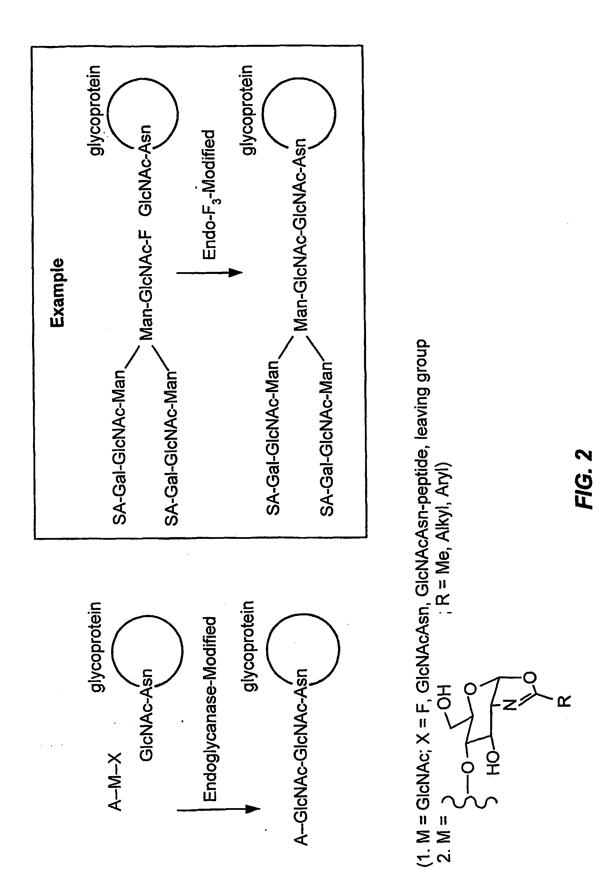 Glycoprotein remodeling using endoglycanases