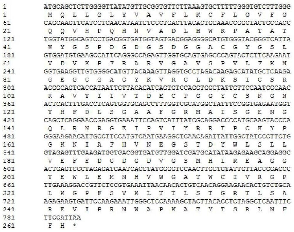 Protein related to flowering time of plants and applications of protein