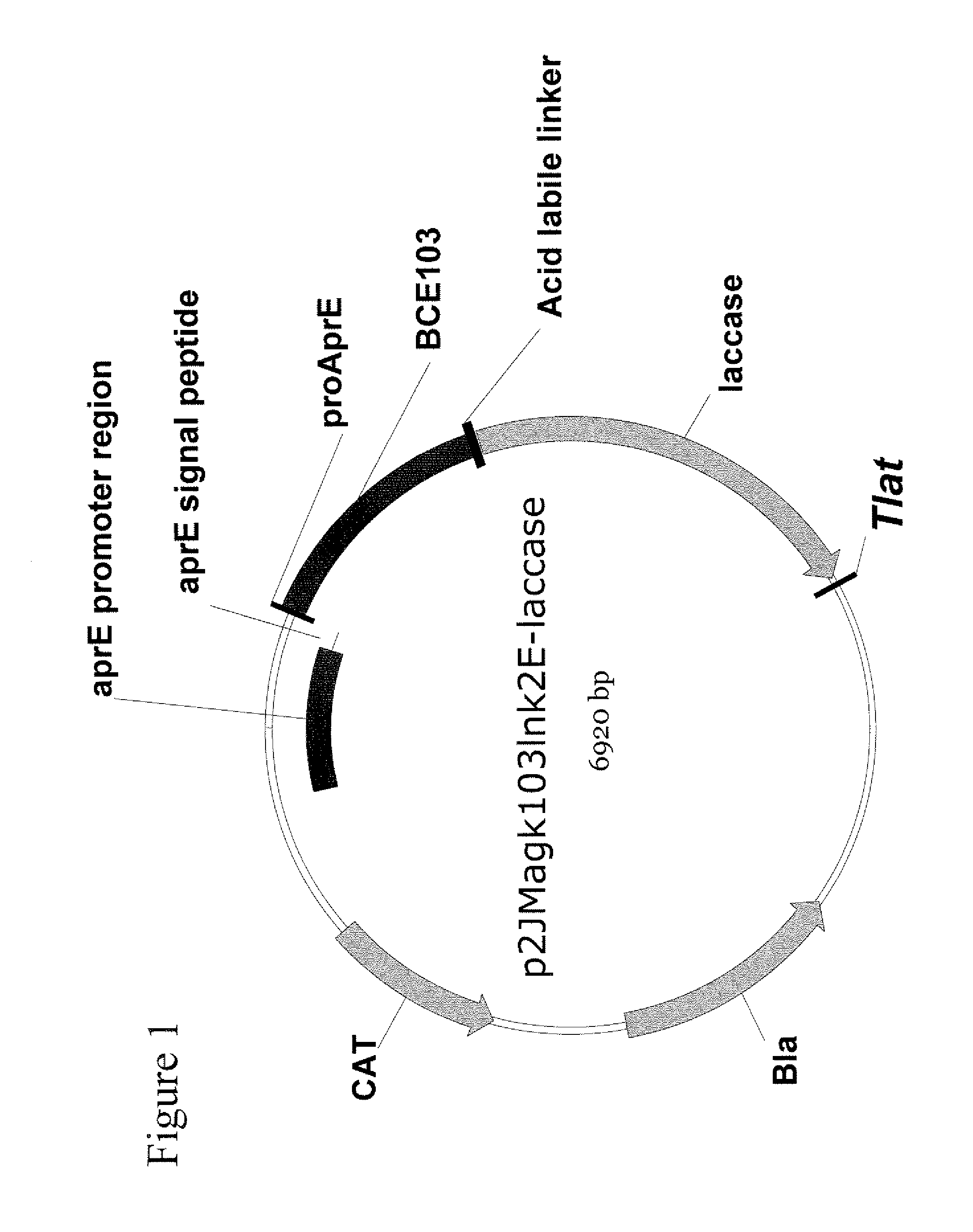 Laccase mediators and methods of use