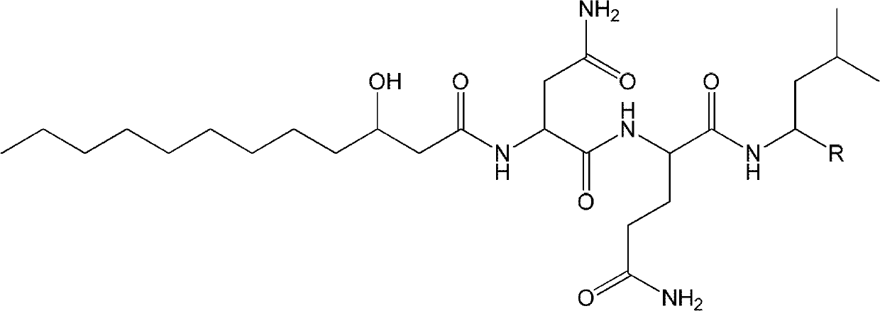 Lipopeptide compound as well as compositions, preparation method and application thereof