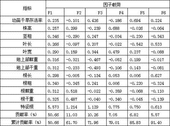 Screening method for coix drought resistance indexes