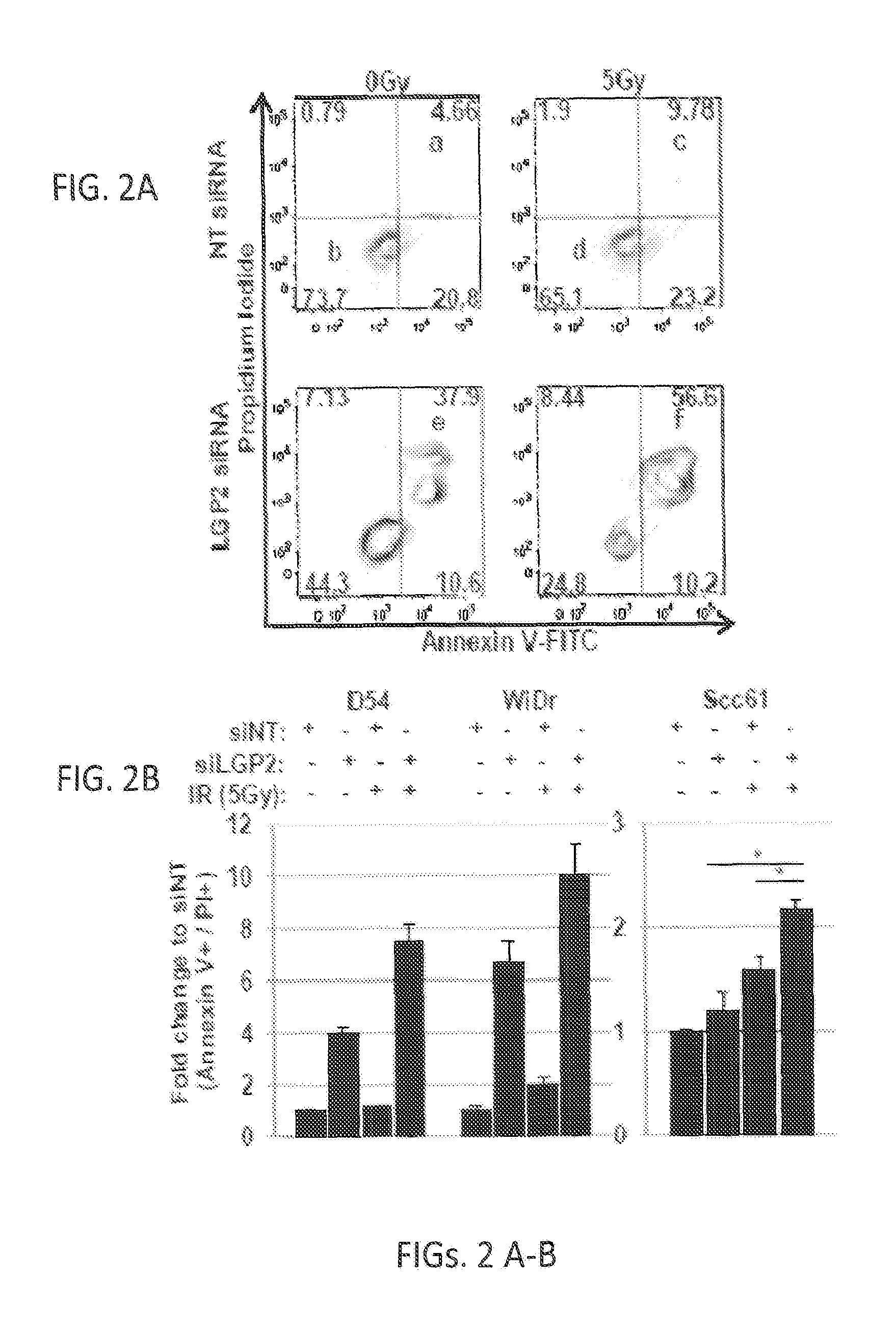 Anti-tumor therapy