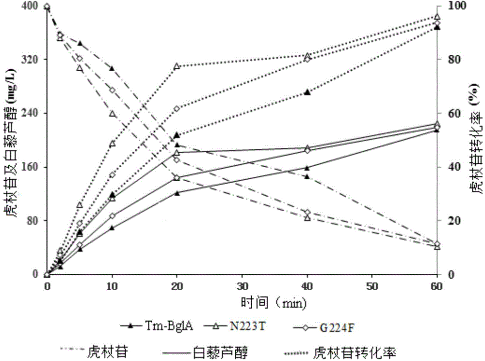 Polydatin bioconversion method using heat-resisting beta-glucosidase and mutants thereof