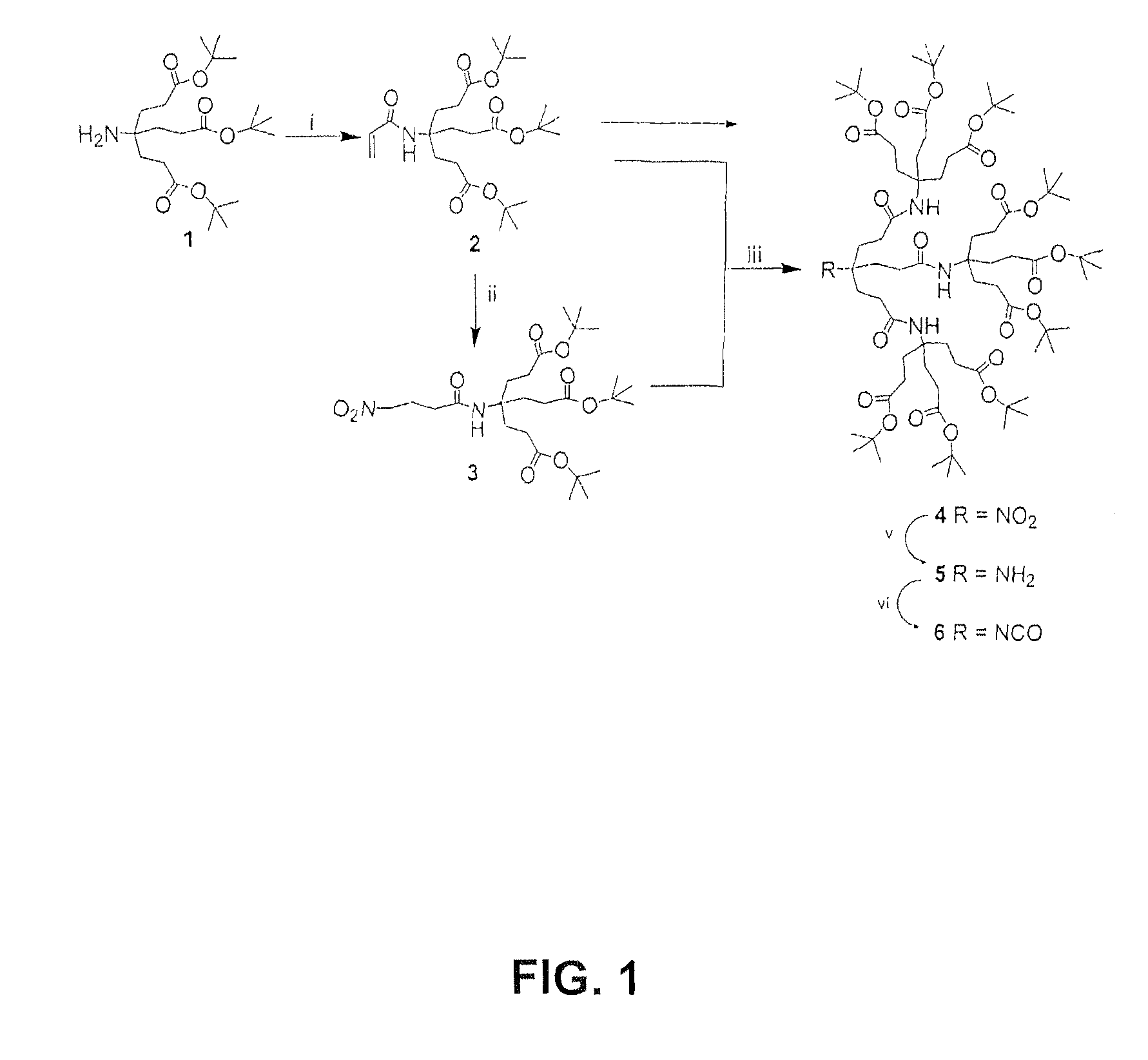 Convenient synthesis of 1→3 C-branched dendrons