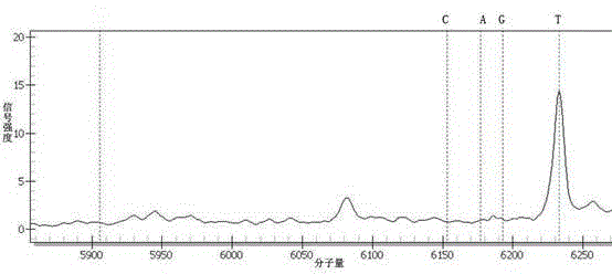 Method and kit for identifying free DNAs in serum by adopting mass spectrometer and applications of method and kit