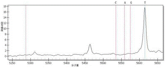 Method and kit for identifying free DNAs in serum by adopting mass spectrometer and applications of method and kit