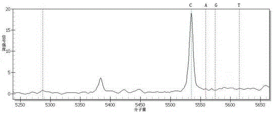 Method and kit for identifying free DNAs in serum by adopting mass spectrometer and applications of method and kit