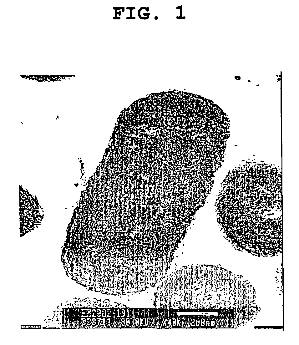 Phytase produced from Citrobacter braakii