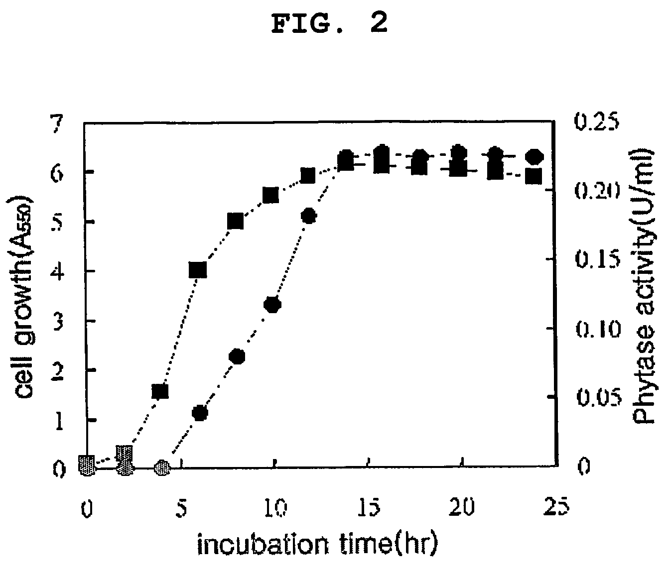 Phytase produced from Citrobacter braakii