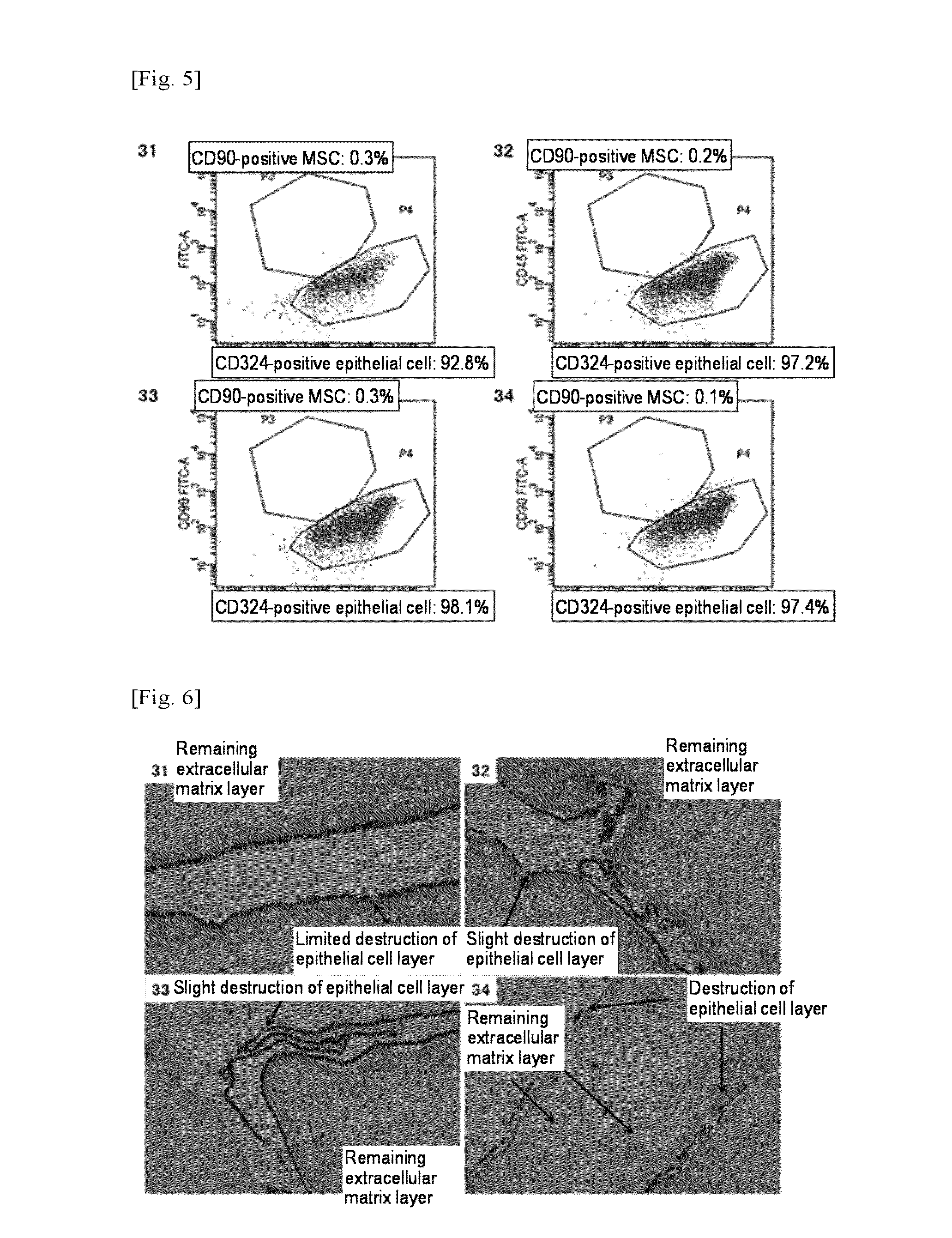 Method for producing amniotic mesenchymal stromal cell composition, method for cryopreserving the same, and therapeutic agent