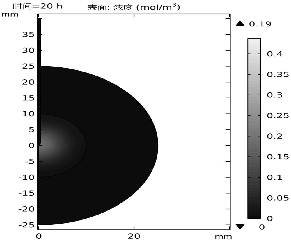 Prediction Method of Magnetic Fluid Concentration Distribution Based on Injection Strategy