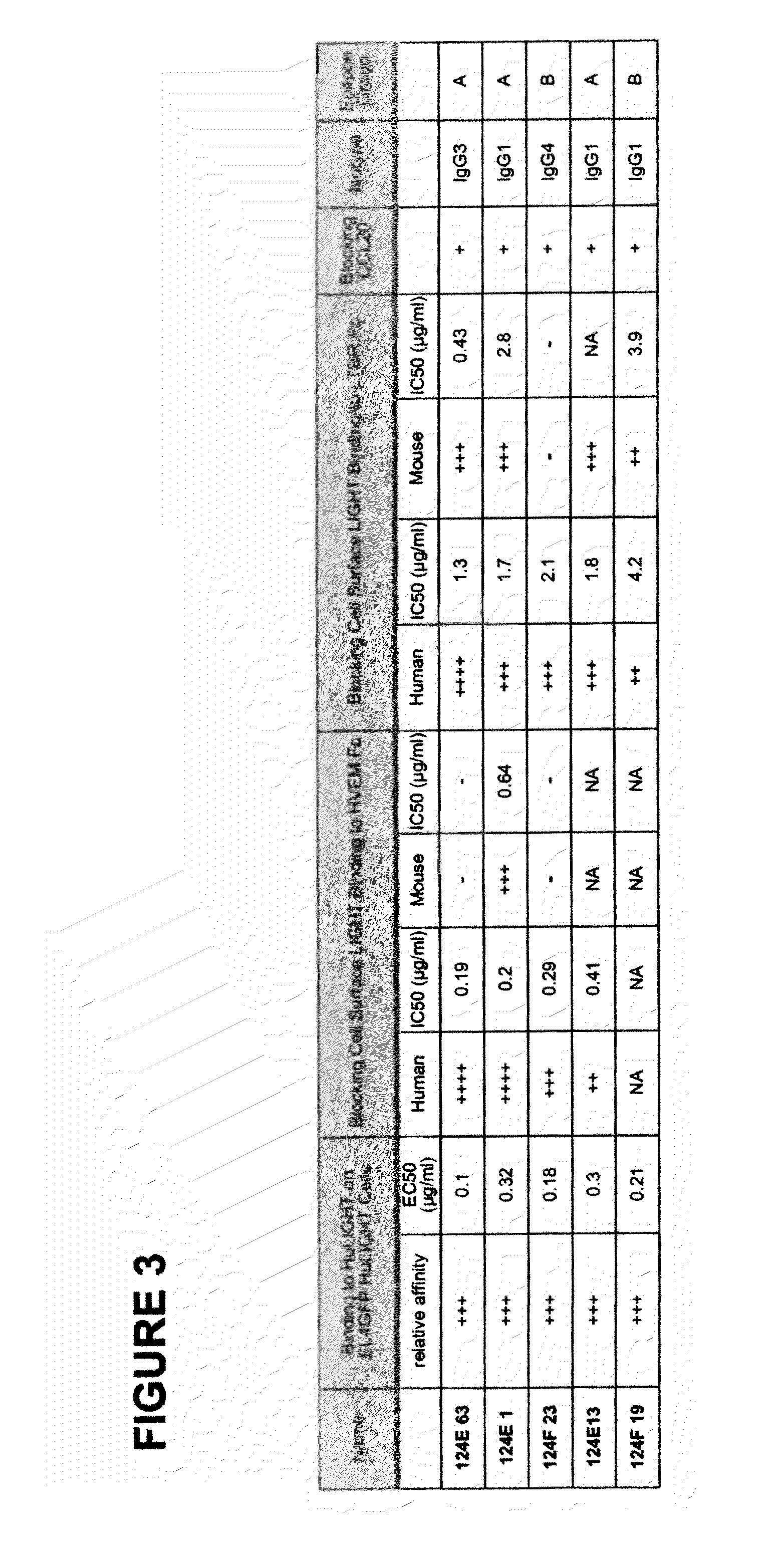 Antagonistic human LIGHT-specific human monoclonal antibodies