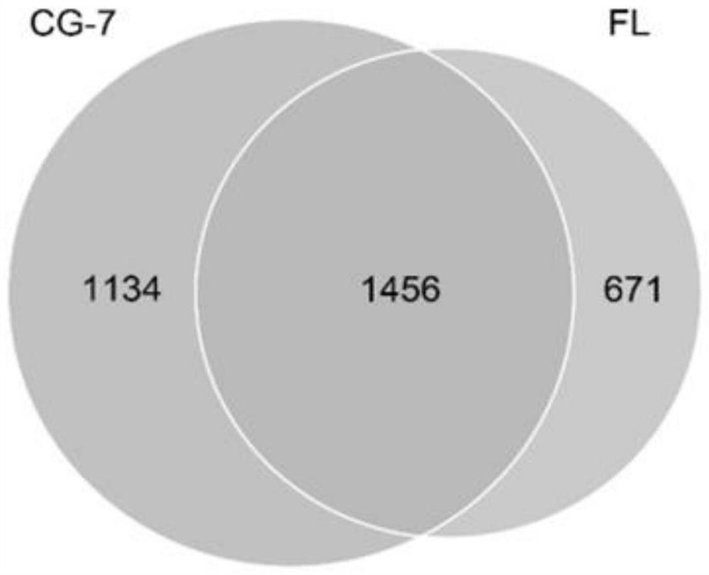 Feed additive for promoting fish intestinal micro-ecological restoration, preparation method and application