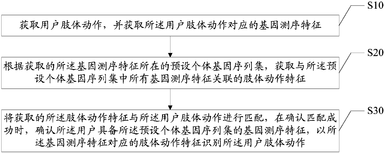 Body movement identification method and device and computer readable storage medium