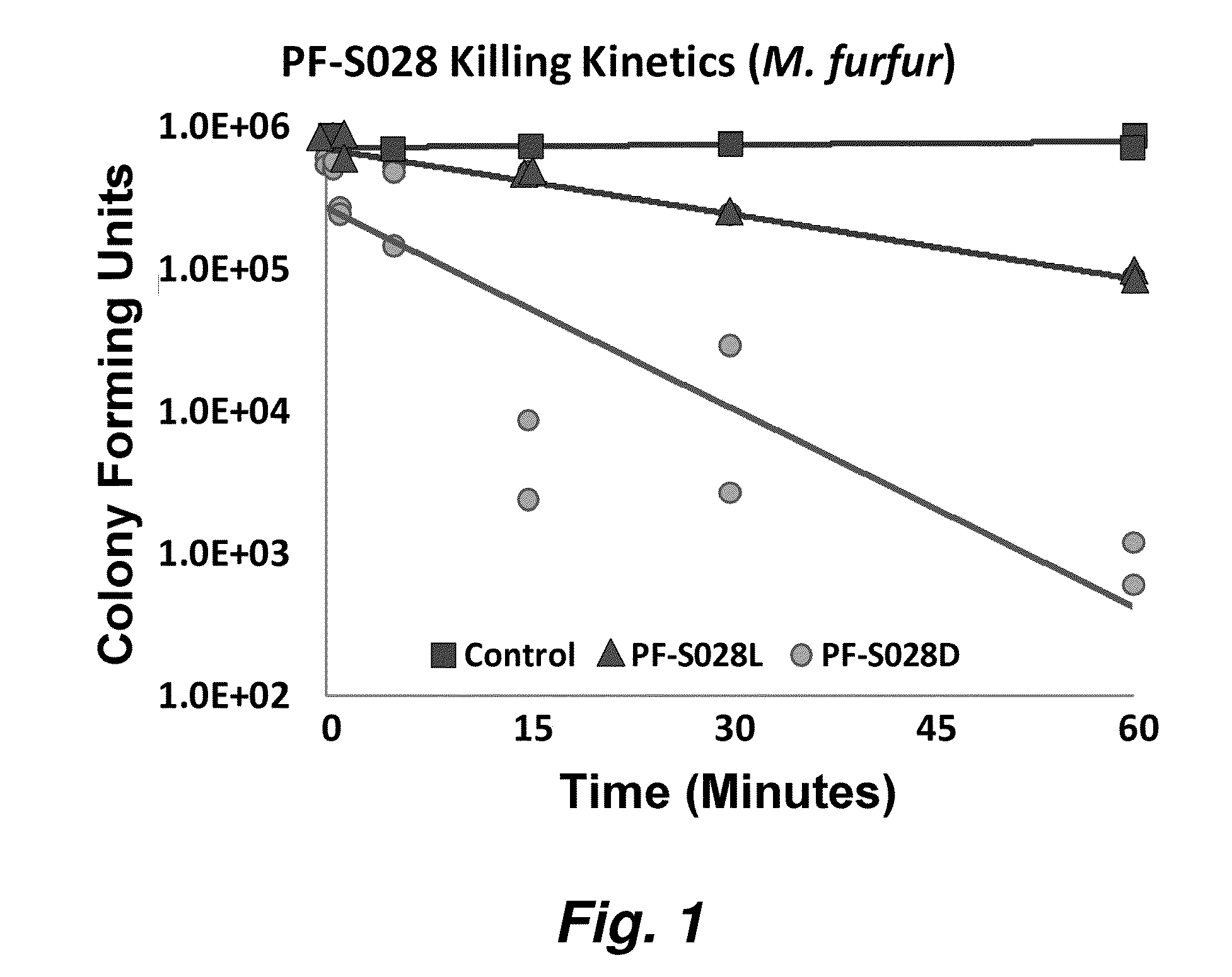 Antibacterial and antifungal peptides