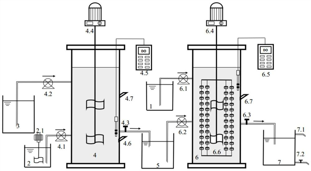 Device and method for sludge fermentation coupled with short-range denitrification in series with two-stage anaerobic ammonium oxidation to achieve sludge reduction and total nitrogen removal