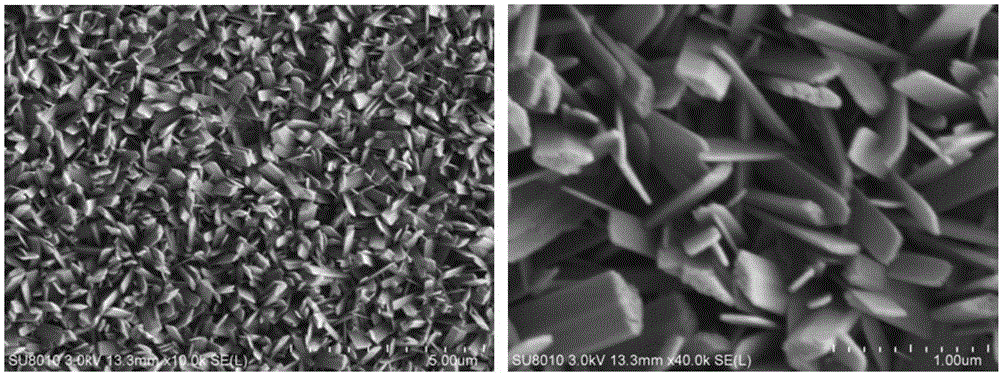 Method for preparing cathode material AgCuO2 through anodic oxidation electrodeposition