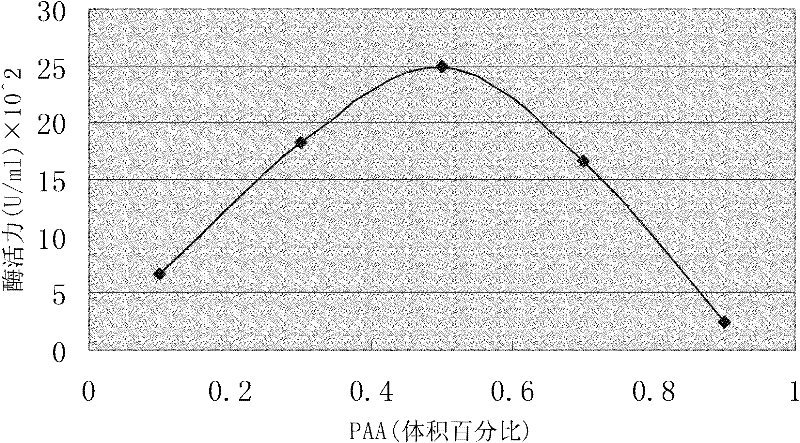 Method for preparing turnip chitin binding protein through macromolecular cold-condensation method