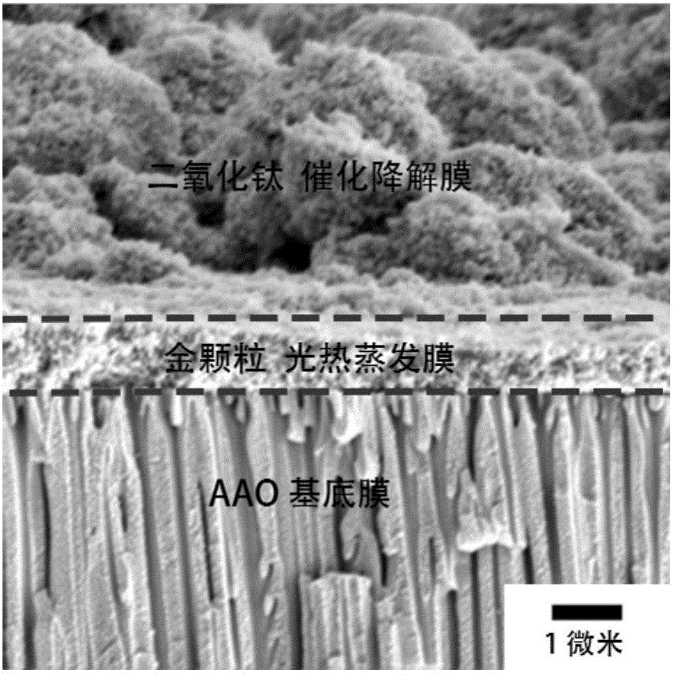 Multifunctional nano-composite sewage purification film and preparation method and application thereof