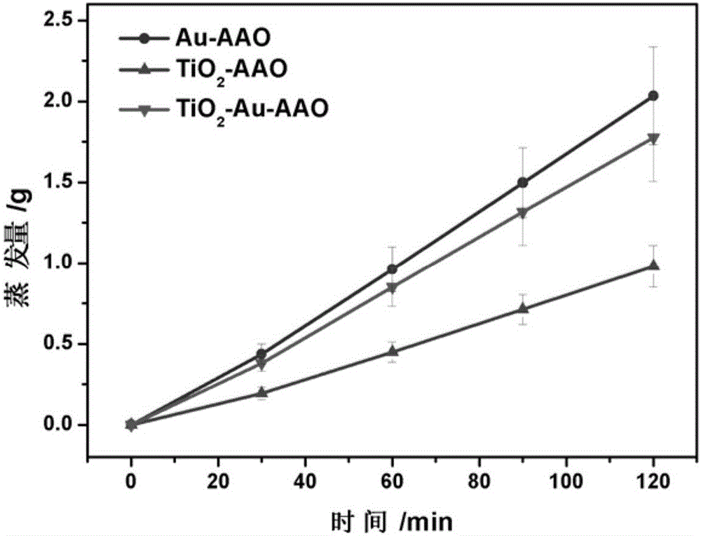 Multifunctional nano-composite sewage purification film and preparation method and application thereof