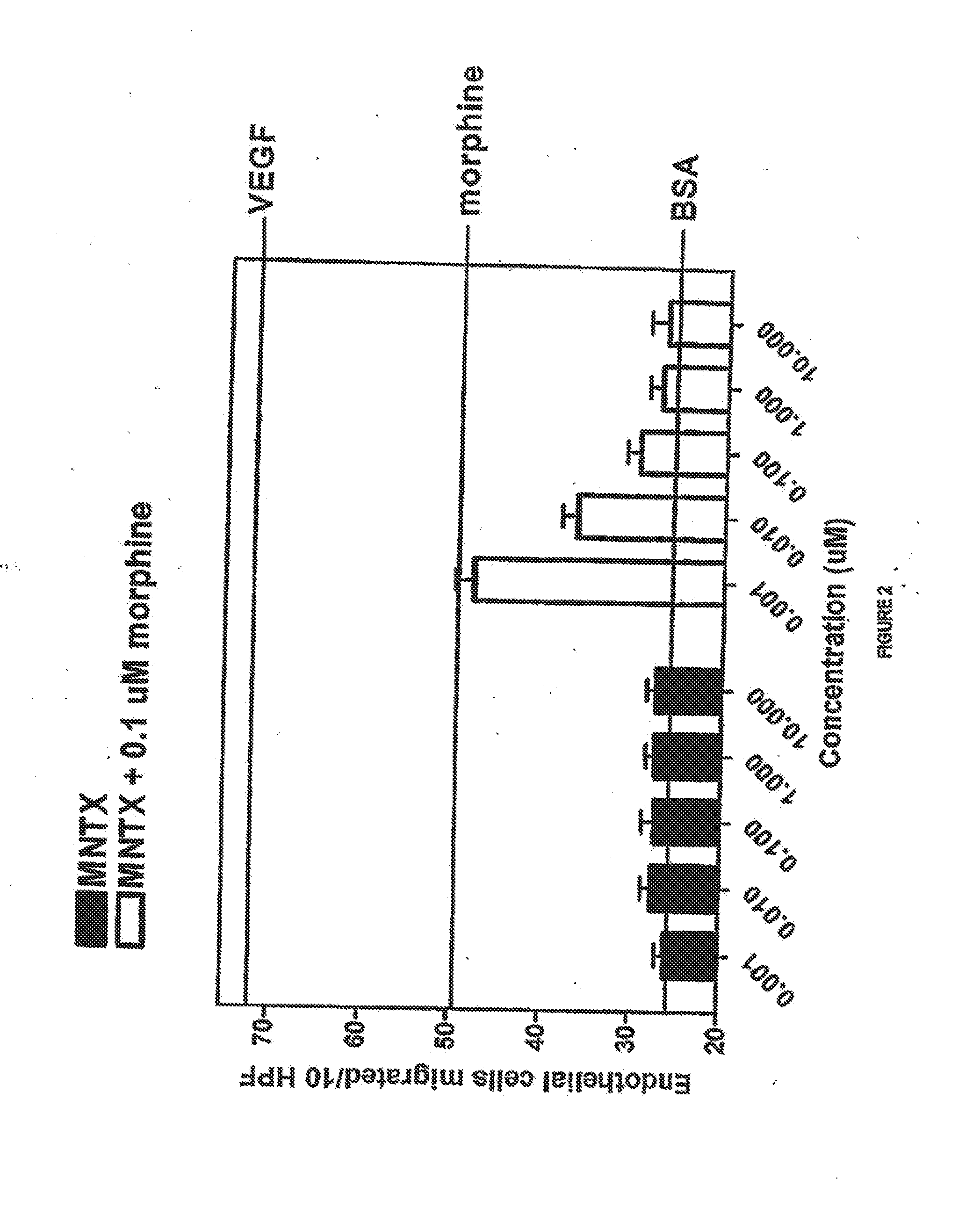 Use of opioid antagonists to attenuate endothelial cell proliferation and migration