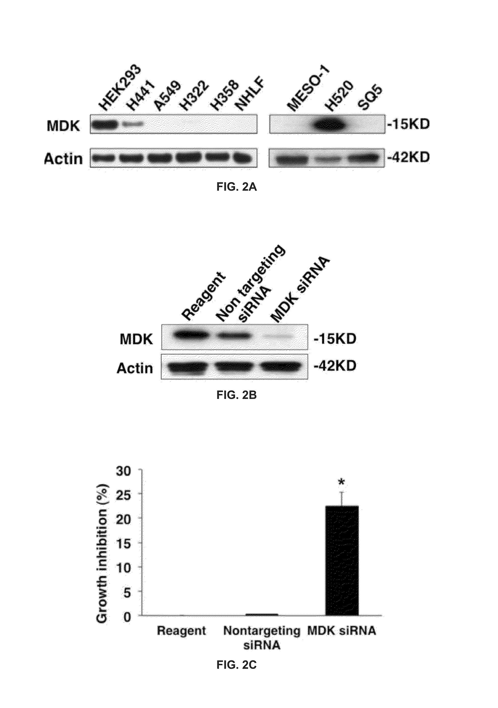 Methods and compositions to treat cancer