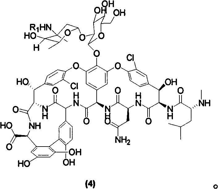 Vancomycin derivate, and preparation method and application thereof