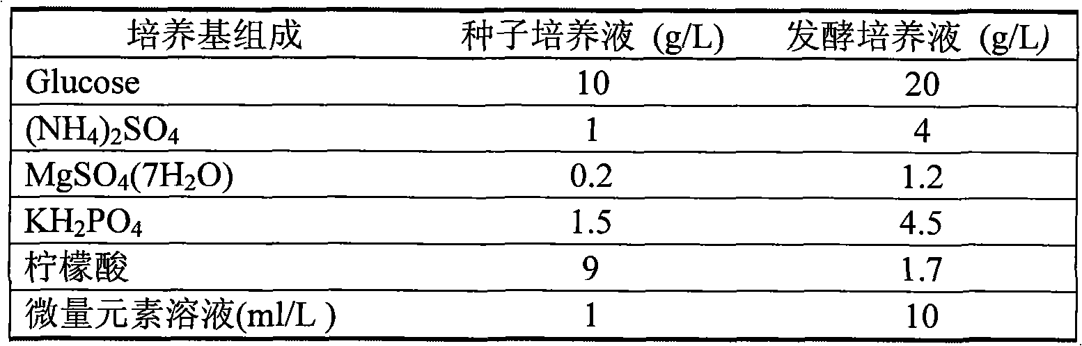 Method and apparatus for supplying and recycling oxygen in process of high-density fermentation by aerobic microorganism