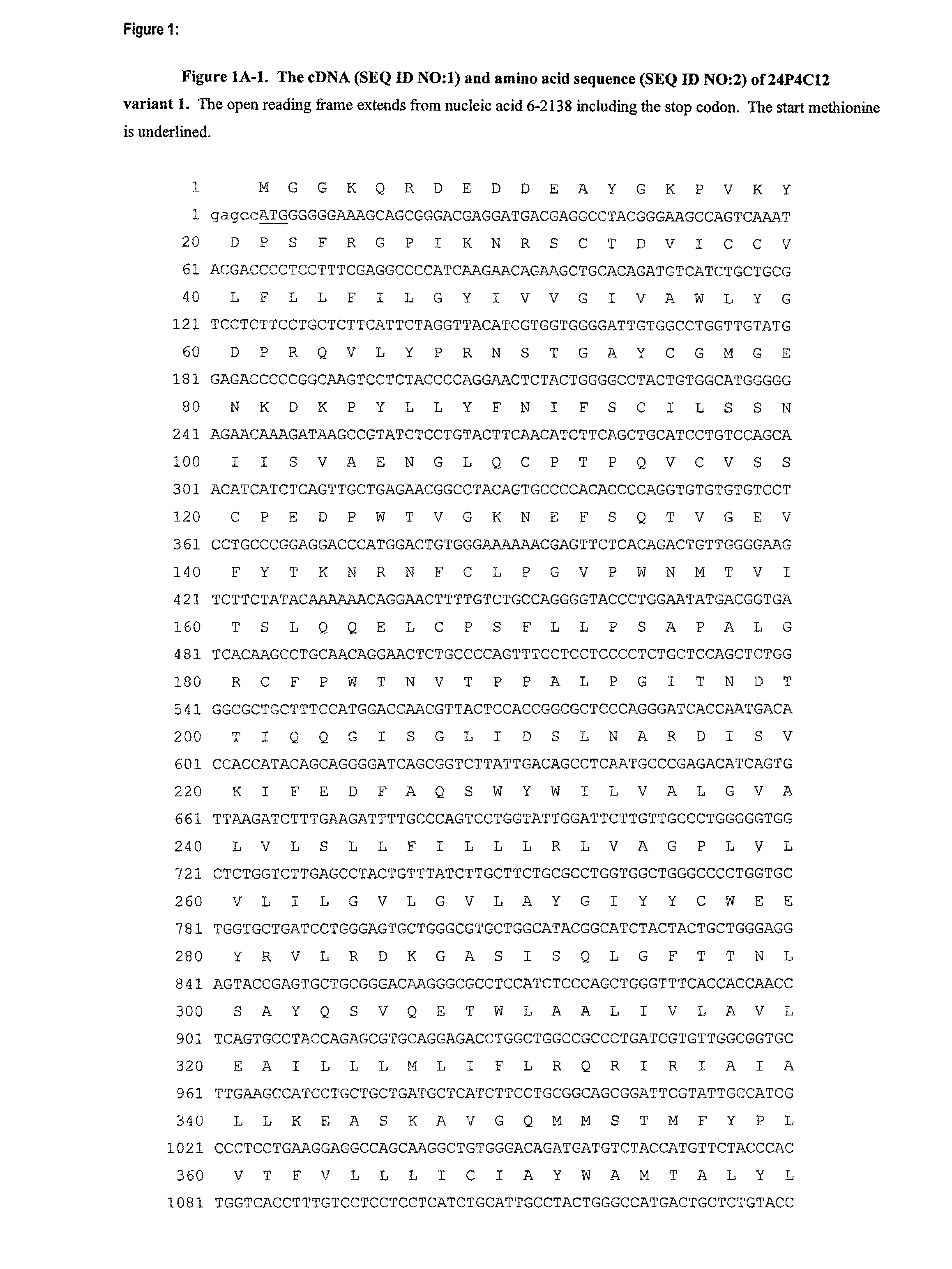 Antibodies and related molecules that bind to 24P4C12 proteins