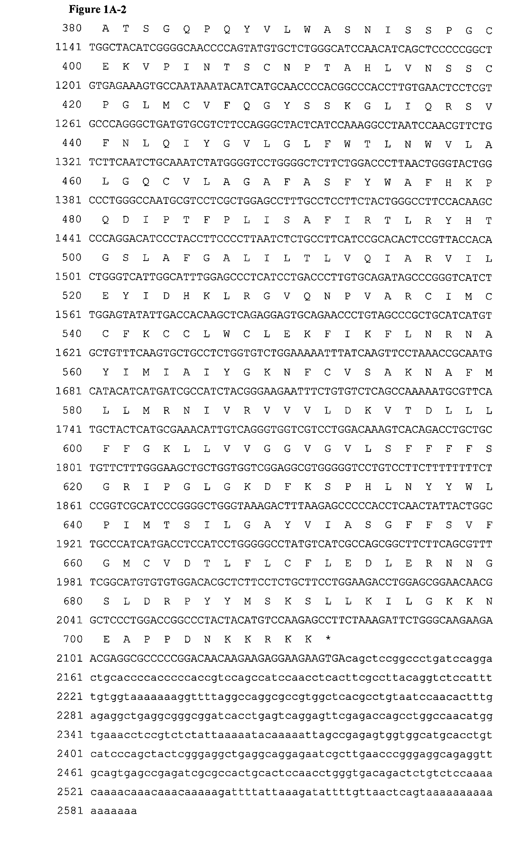 Antibodies and related molecules that bind to 24P4C12 proteins