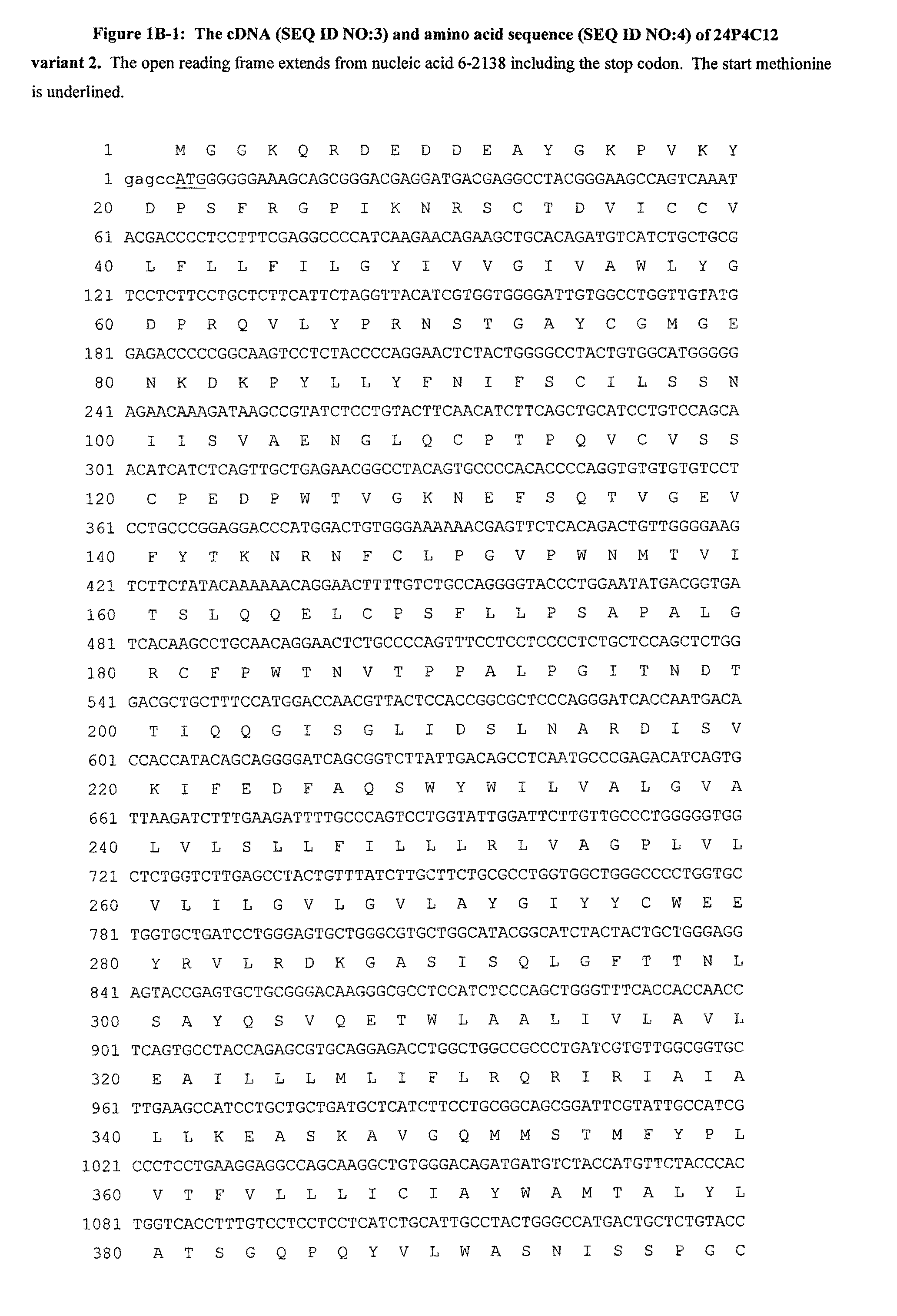 Antibodies and related molecules that bind to 24P4C12 proteins