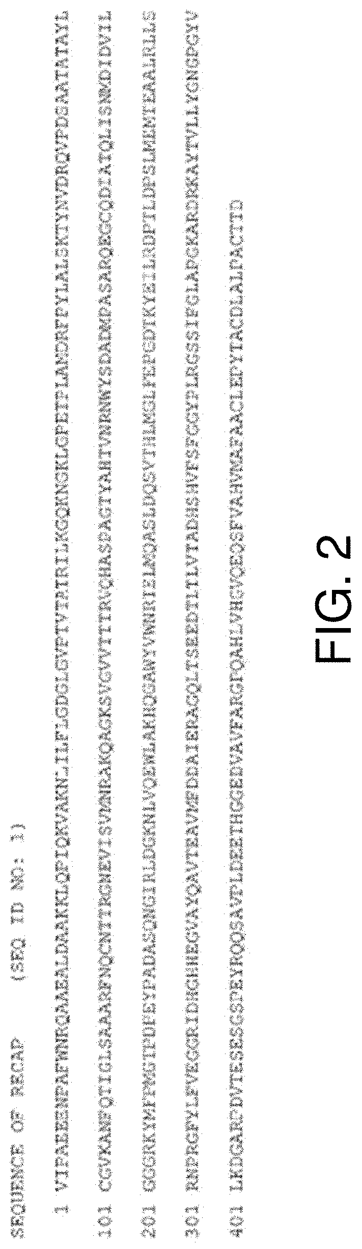 Recombinant alkaline phosphatase for use in treating sepsis-associated acute kidney injury