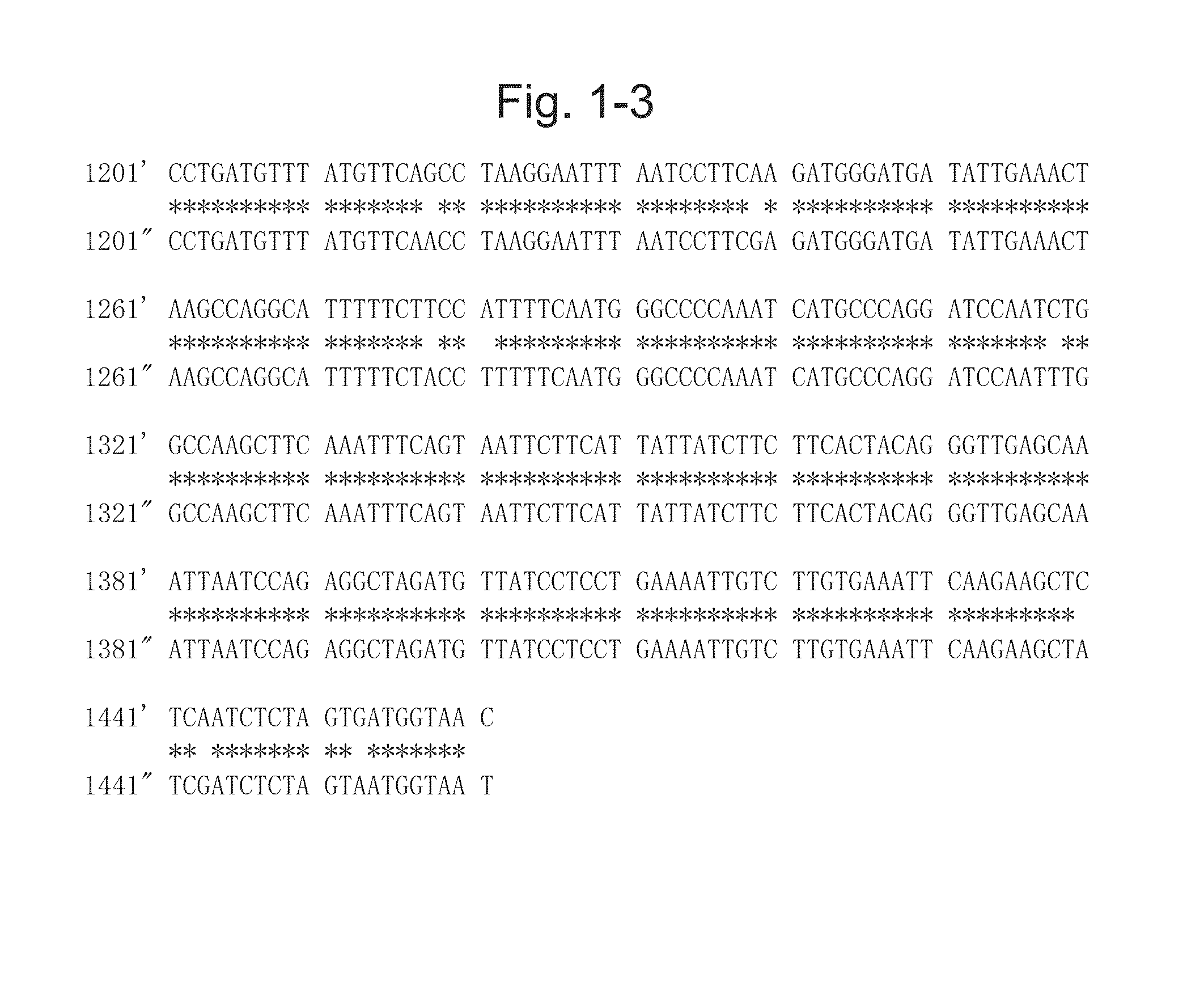 Plant having suppressed expression of glycoalkaloid biosynthetic enzyme gene or altered activity of the enzyme