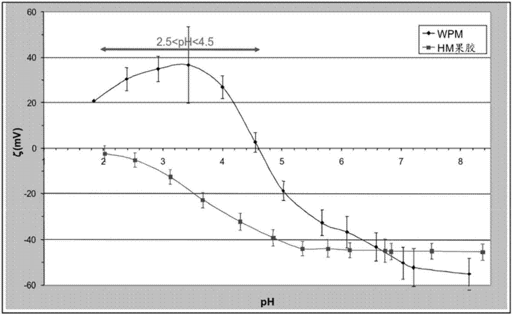 Complexes of whey protein micelles and pectin and body muscle protein synthesis