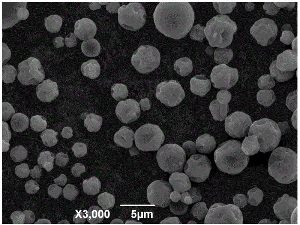 Preparation method of iturinA micro capsule