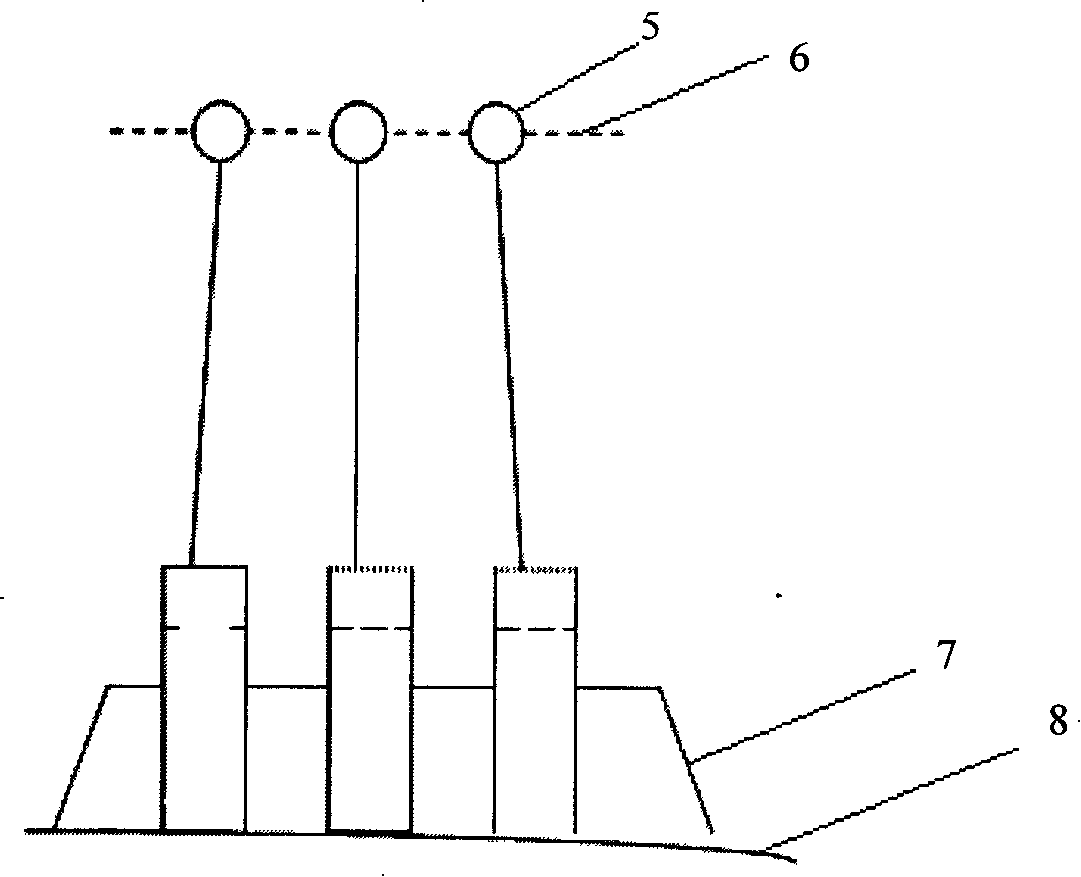 Imbedded and perched bivalve molluscs biodeposition in-situ measuring method and device